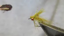 Video thumb for Llama Dragonfly Nymph