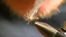 Video thumb for Extended Body Mayfly Dry Flies