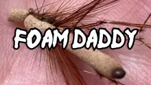 Video thumb for Foam Daddy Long Legs