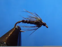 Video thumb for Pheasant Tail Wet Fly