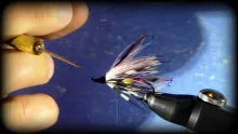 Video thumb for Head Cements for Fly Tying