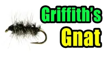 Video thumb for Griffith's Gnat