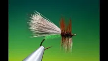 Video thumb for Fluttering Caddis Variant