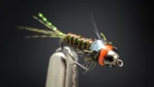 Video thumb for Green Spot Pheasant Tail