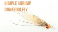 Video thumb for Simple Shrimp bonefish fly 