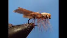 Video thumb for Little Foam Caddis