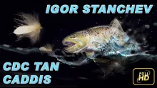 Video thumb for Igor Stanchev CDC Tan Caddis