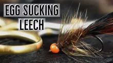 Video thumb for Egg Sucking Leech Trout Variation