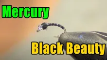 Video thumb for Mercury Black Beauty