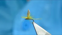 Video thumb for Up-Winged Parachute Fly