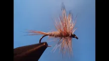 Video thumb for Adams Dry Fly