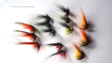 Video thumb for UFO Disc Tube Salmon Fly