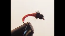 Video thumb for Big Red Midge