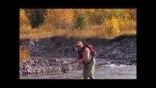 Video thumb for Fishing Dry Flies In The Autumn