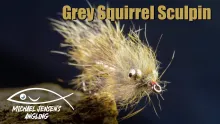 Video thumb for Grey Squirrel Sculpin