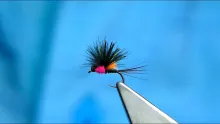 Video thumb for Hummingbird Mayfly