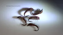 Video thumb for Cove's Pheasant Tail Nymph