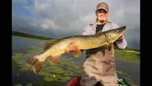 Video thumb for Pike flyfishing with Poppers