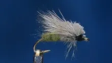 Video thumb for Egg Laying Caddis