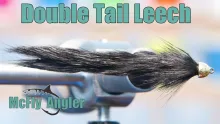 Video thumb for Double Tail Leech