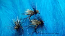 Video thumb for Northern Midge (Dry Fly)