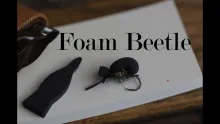 Video thumb for Foam Beetle