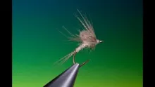 Video thumb for CDC Emerger Mayfly