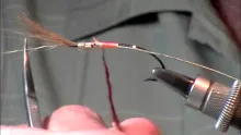 Video thumb for Steelhead Pattern