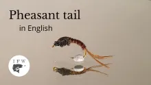 Video thumb for Pheasant tail