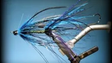 Video thumb for Intruder Steelhead Fly