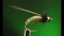 Video thumb for UV Caddis Pupa