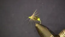 Video thumb for Grey Hackle Peacock