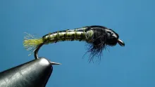 Video thumb for Emergence Caddis Larva