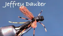 Video thumb for Jeffrey Dauber