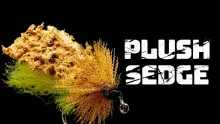 Video thumb for Plush Sedge