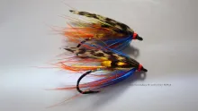 Video thumb for Gary Scott Salmon Fly