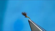 Video thumb for Olive Shuttlecock