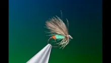 Video thumb for Spring Caddis