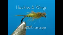 Video thumb for Small Mayfly Emerger