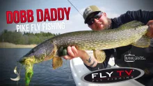 Video thumb for Dobb Daddy - Pike Fly Fishing with Fly and Spinning Rods