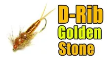 Video thumb for D-Rib Golden Stone Nymph Fly