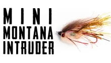 Video thumb for Montana “Mini” Intruder