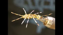 Video thumb for Simple Stonefly Pattern