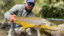 Video thumb for Best Trout Fishing River In the World? Probably!