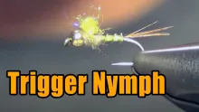 Video thumb for Trigger Nymph