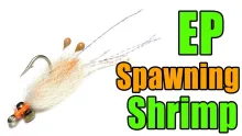 Video thumb for EP Spawning Shrimp