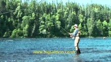 Video thumb for Fly-fishing for Salmon: Casting, hooking and releasing Atlantic salmon