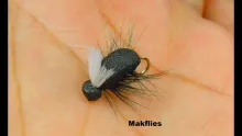 Video thumb for Simple Foam Beetle