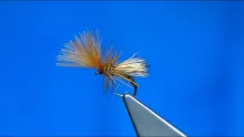 Video thumb for Cinnamon Emerger Caddis