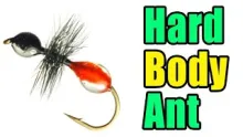 Video thumb for Hard Body Ant